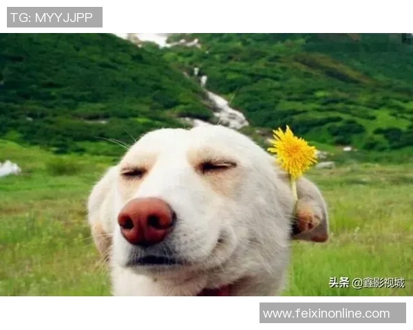 足球明星歪头搞笑瞬间合集欣赏让你捧腹大笑的精彩图片分享